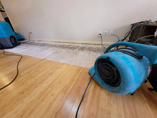 Professional Water Extraction technician working in Mona, UT